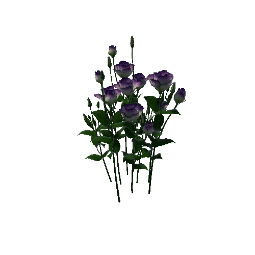 Flower Lisianthus1 3